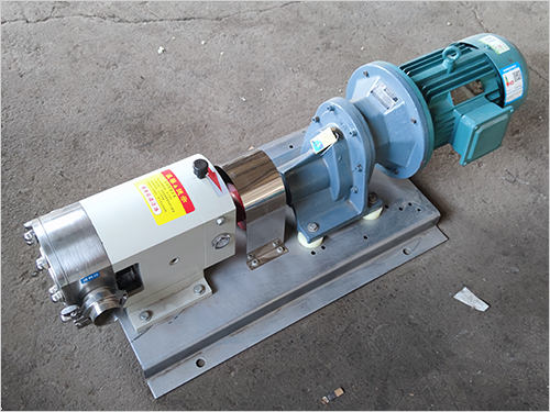 3RP凸輪轉(zhuǎn)子泵